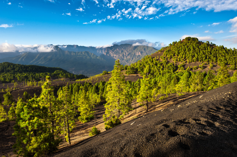 Vulkanhang der Cumbre Nueva auf La Palma mit Pinienwald und Bergkette im Hintergrund