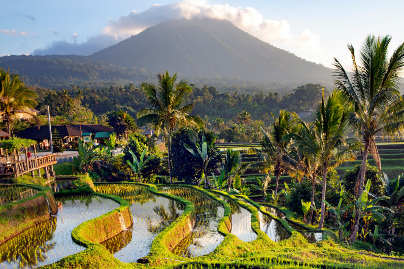 Bali Blick auf sattgrüne Reisterrassen auf Bali in den frühen Morgenstunden. Die Reisfelder spiegeln das Licht der aufgehenden Sonne, während im Hintergrund der majestätische Vulkan Gunung Agung von einer Wolkenhaube umgeben ist. Palmen und tropische Vegetatio