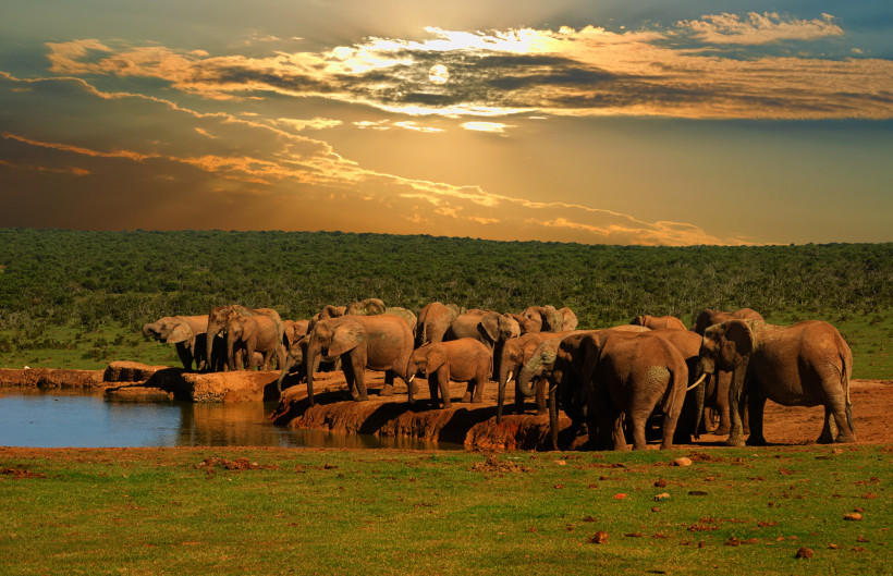 Addo Park