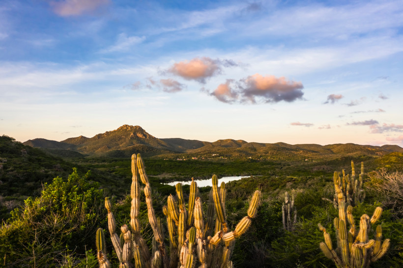 Christoffel Nationalpark – Naturparadies auf Curaçao mit dem Christoffelberg Blick auf den Christoffelberg im Christoffel Nationalpark auf Curaçao mit Kakteen und grüner Landschaft
