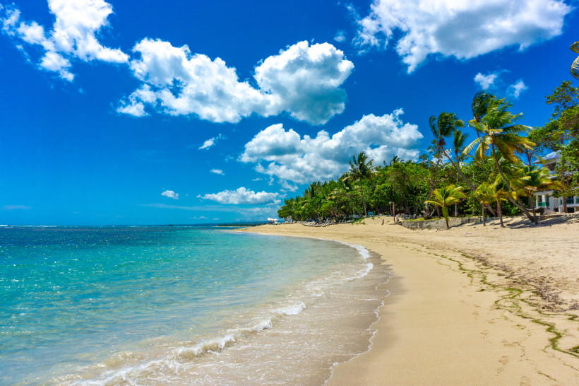 Puerto Plata, Dom. Rep. Tropischer Strand mit Palmen und türkisblauem Meer in Sosúa, Dominikanische Republik
