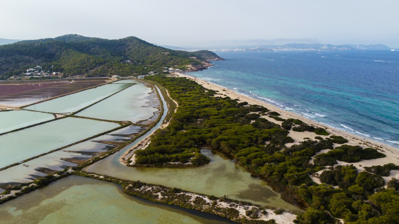 Luftaufnahme der Salinen und Lagunen im Naturpark Ses Salines bei Es Cavallet mit Dünen, Pinienbewuchs und Küstenlinie am Meer