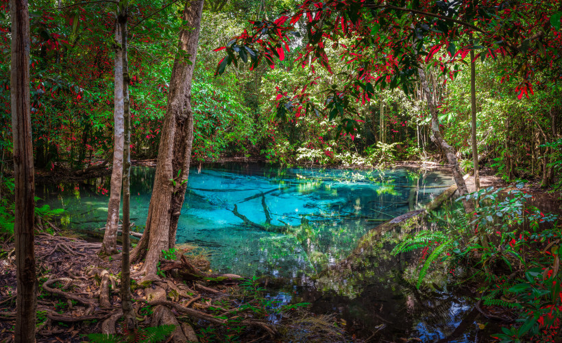 Blue Pool in Krabi, Thailand: tiefblauer Naturpool inmitten dichter tropischer Vegetation.