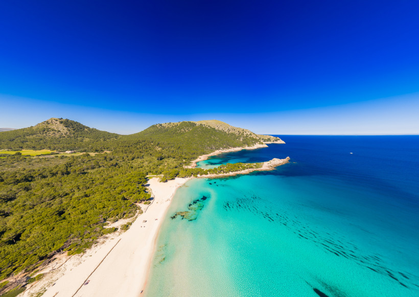 Luftaufnahme der Cala Agulla auf Mallorca mit Sandstrand, türkisfarbenem Wasser und bewaldeten Hügeln