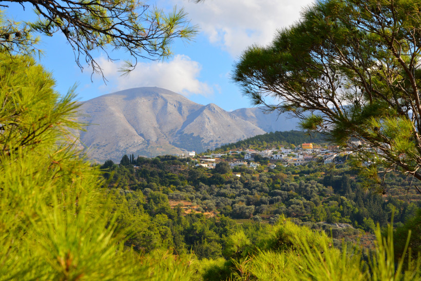 Blick durch Pinienbäume auf ein kleines Dorf im grünen Hügelland von Rhodos, dahinter karge Berge und felsige Gipfel unter blauem Himmel