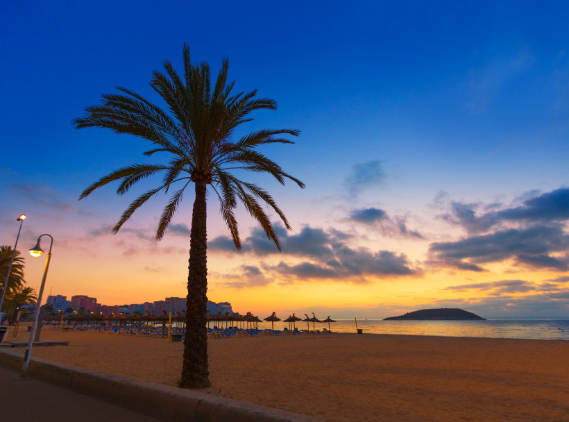 Strandpromenade in Magaluf bei Sonnenuntergang mit Palme, Strandliegen und Blick aufs Meer