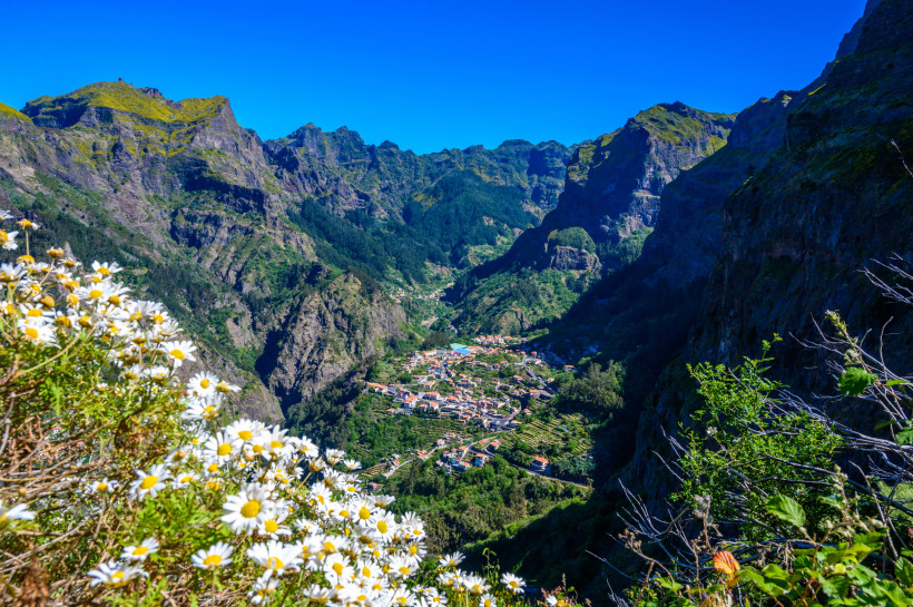 Panoramablick auf das Dorf Curral das Freiras im grünen Bergtal von Madeira mit steilen Felsen und Blumen im Vordergrund