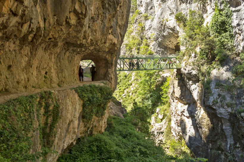Felsige Schlucht am Río Cares in den Picos de Europa mit in den Fels gehauenem Weg und Metallbrücke