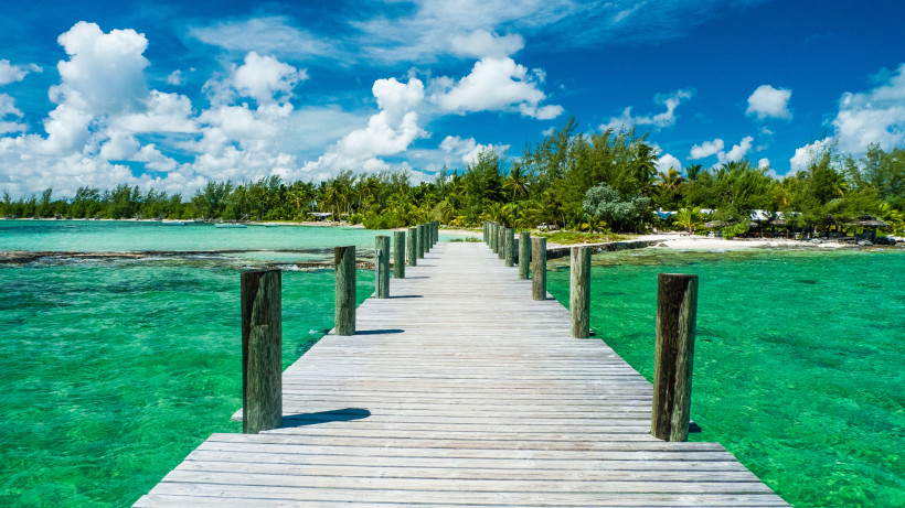 Holzsteg und Küste auf Andros, Bahamas Holzsteg über türkisfarbenem Meer mit Blick auf Palmenstrand auf Andros, Bahamas