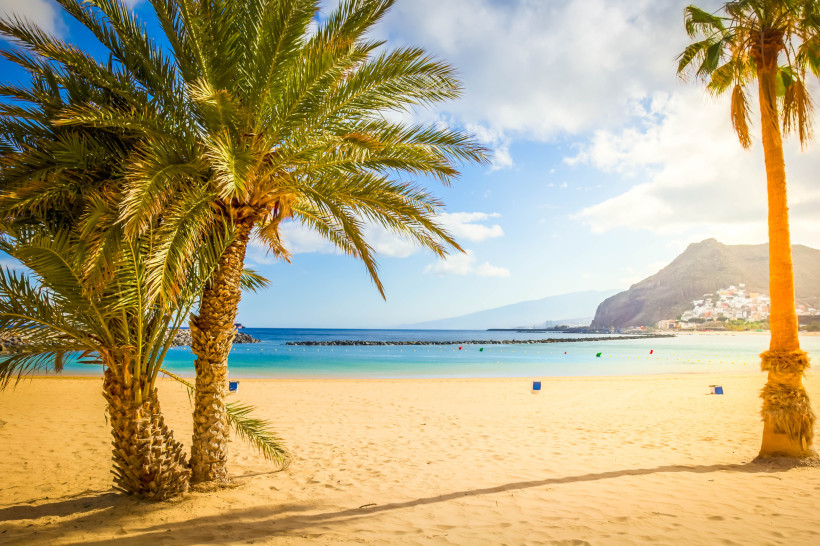 Goldener Sandstrand auf Teneriffa mit Palmen im Vordergrund und ruhigem türkisblauen Meer