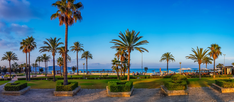 Palmen und Grünanlage an der Strandpromenade von Cala Millor mit Blick auf das Meer
