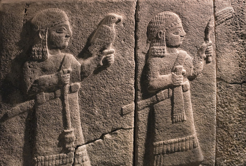 museum ana
