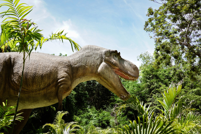 Lebensgroßer T-Rex im Dinosauria Park nahe Kokkini Hani auf Kreta