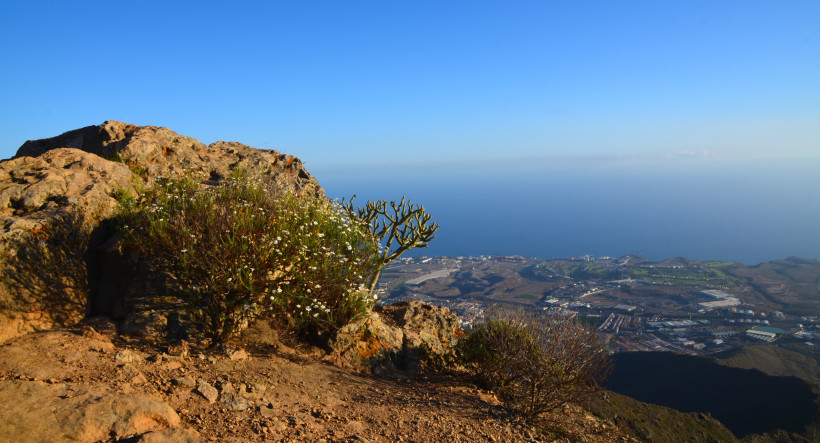 Taucho bei Adeje: Aussicht über Küstenlandschaft und Atlantik Blick vom Tauchogipfel bei Adeje über felsiges Gelände und Vegetation auf die Küste und den Atlantik