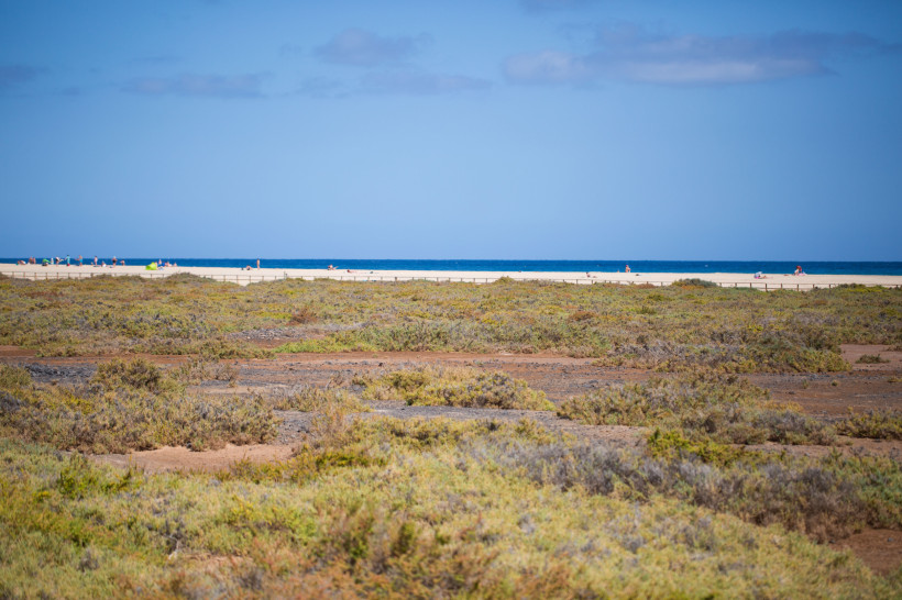 Küstenlandschaft am Saladar de Jandía mit niedriger Vegetation, Sandstrand und Meer im Hintergrund