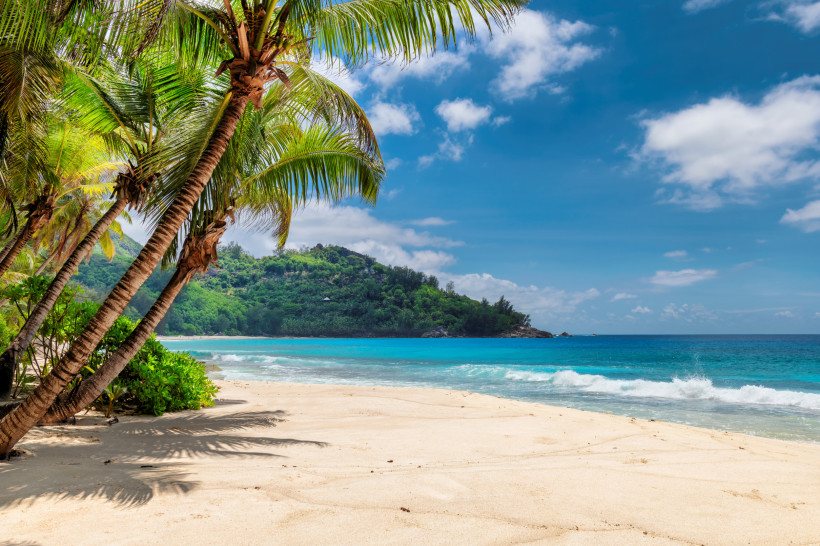 Jamaika Tropischer Sandstrand mit sanften Wellen, schattenspendenden Palmen im Vordergrund und dicht bewachsenem Hügel im Hintergrund. Der Himmel ist blau mit wenigen weißen Wolken, das türkisfarbene Meer glitzert in der Sonne – eine ruhige und paradiesische Stra