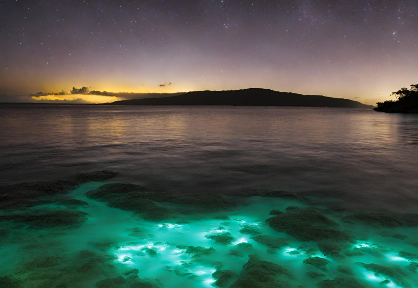 Biolumineszierendes Wasser bei Nacht – spektakuläres Naturwunder am Meer Leuchtendes Wasser an der Küste bei Nacht – faszinierendes Naturphänomen mit Blick auf das Meer und einen Sternenhimmel.