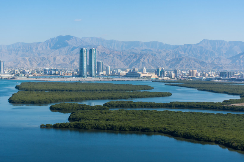 Ras al Khaimah: Mangroven, Lagune und Stadtansicht vor Bergkulisse Skyline von Ras al Khaimah mit Mangrovenlagune im Vordergrund und Gebirge im Hintergrund