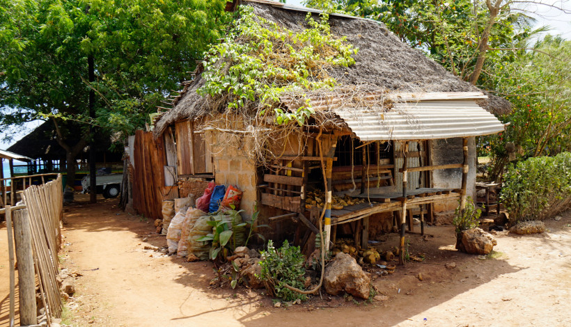 Sansibar - Kizimkazi Traditionelles Haus mit Strohdach im Dorf auf Sansibar, umgeben von Bäumen und einfachem Leben