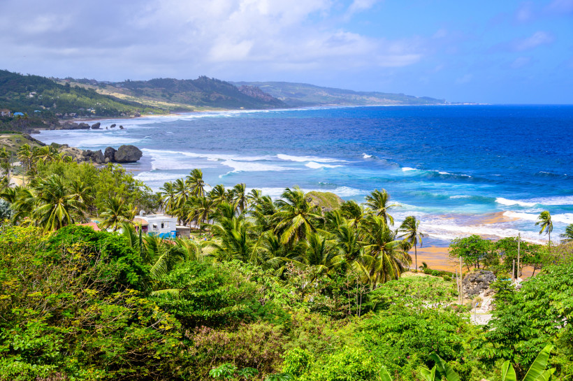 Atemberaubende Ostküste von Barbados – tropische Vegetation und wilde Brandung Atemberaubender Blick auf die grüne Ostküste von Barbados mit Palmen, Felsen und türkisblauem Meer.