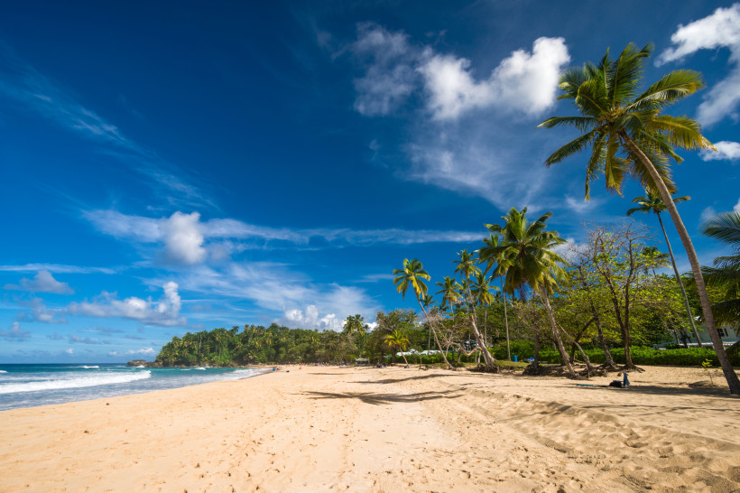 Cabrera, Dom. Rep. Weiter Sandstrand mit Palmen und sanften Wellen unter blauem Himmel in der Dominikanischen Republik