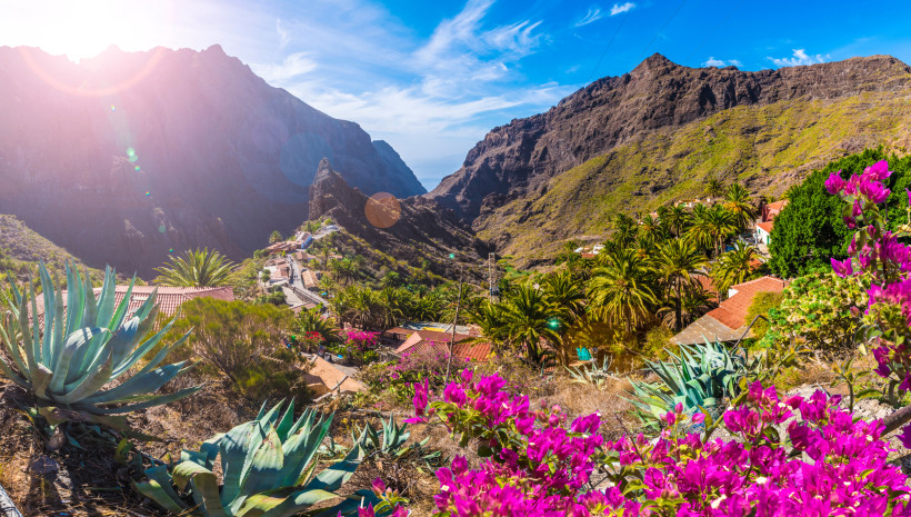Blick über das Bergdorf Masca inmitten tropischer Vegetation Farbintensiver Blick auf das Bergdorf Masca auf Teneriffa. Im Vordergrund blühen pinke Bougainvillea-Sträucher und große Agavenblätter. Dahinter liegen traditionelle Häuser mit roten Dächern und viele Palmen. Umgeben ist das Dorf von steilen, felsigen Ber