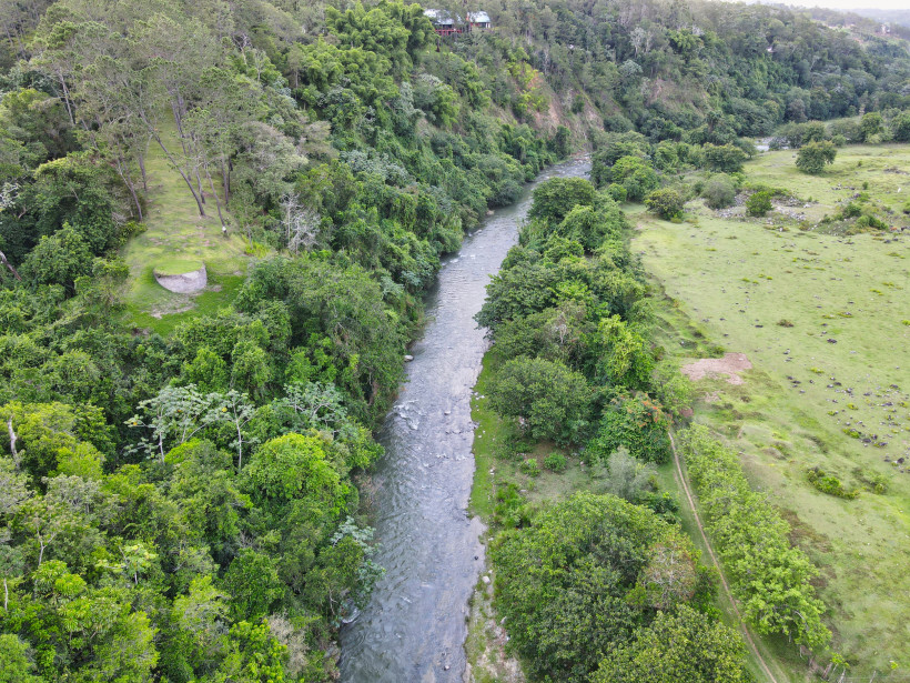 Dominikanische Republik Fluss, der sich durch grüne Wälder und Wiesen in Jarabacoa, Dominikanische Republik, schlängelt