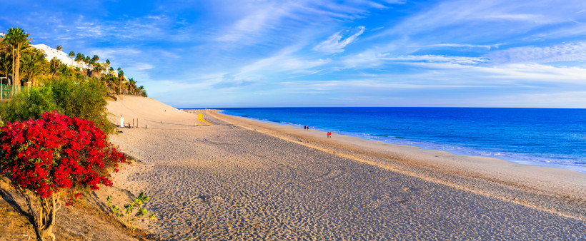 Fuerteventura Weitläufiger Sandstrand mit tiefblauem Meer und vereinzelten Spaziergängern. Links rote Blüten und Palmen, rechts der Ozean unter blauem Himmel mit Schleierwolken