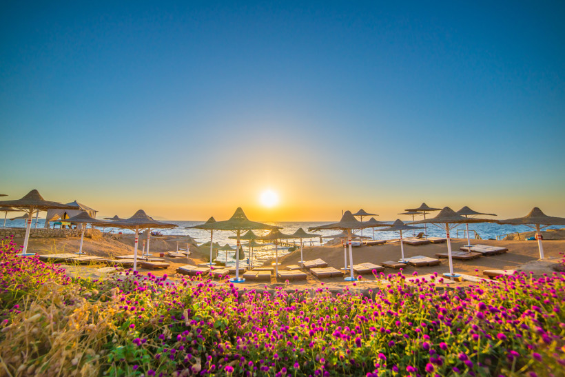 Strand von Marsa Alam bei Sonnenuntergang mit Liegen, Strohdach-Sonnenschirmen und bunten Blumen im Vordergrund