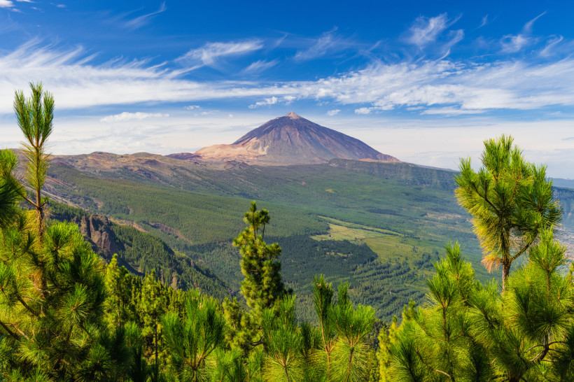 Panoramablick auf den Teide auf Teneriffa mit grüner Vulkanlandschaft und Pinienwald unter blauem Himmel