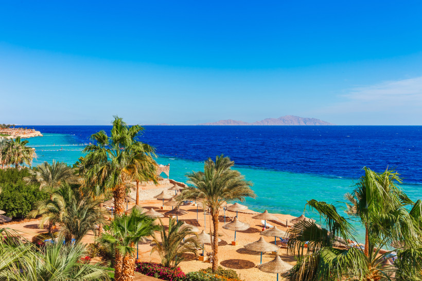 Das Bild zeigt einen traumhaften Strandabschnitt in Sharm El Sheikh am Roten Meer. Im Vordergrund stehen viele Strohdach-Sonnenschirme auf goldfarbenem Sand, eingerahmt von Palmen und tropischer Vegetation. Dahinter erstreckt sich das Meer in leuchtendem 