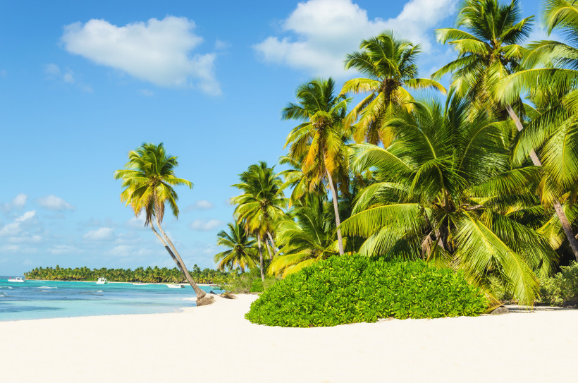 Weißer Sandstrand mit Palmen und türkisfarbenem Meer auf Aruba
