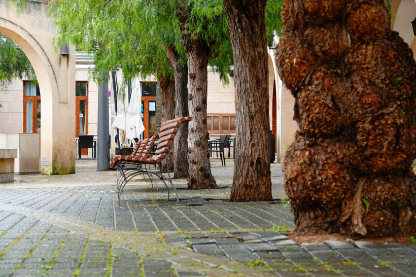 Ruhiger Platz auf Mallorca mit gepflastertem Boden, Holzbank unter großen Bäumen, Arkadengang und Caféterrasse im Hintergrund