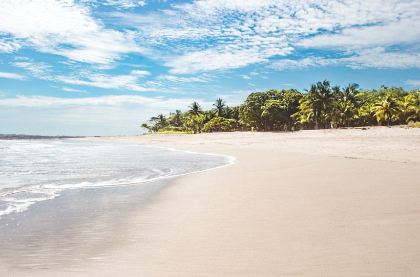 Costa Rica Strand mit Palmen am Pazifik Strand in Costa Rica mit Palmen, weißem Sand und türkisblauem Meer an der Pazifikküste