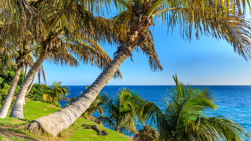 Teneriffa Palmen Himmel und Meer