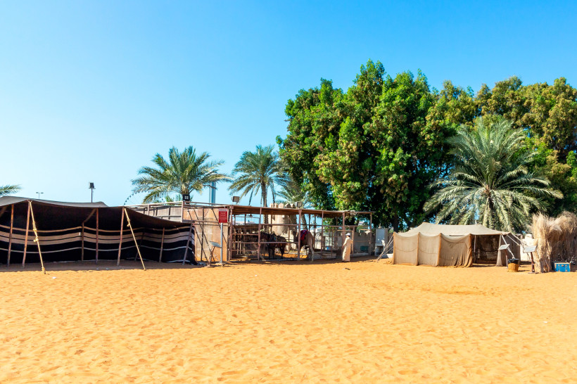 Traditionelles Beduinencamp in Abu Dhabi mit schwarzem Zelt, Kamelen im Gehege und hohen Palmen im Hintergrund inmitten der Wüste