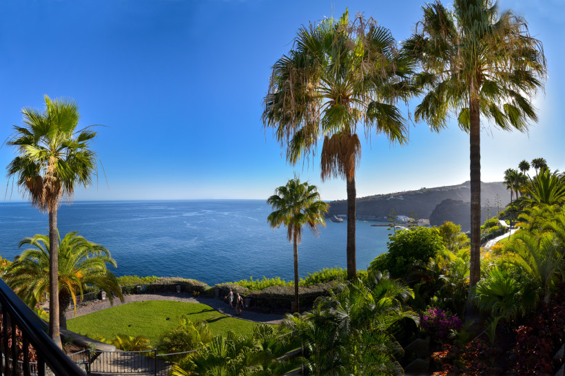 Palmen und üppige Vegetation mit Blick auf die Küste von La Gomera bei Sonnenschein