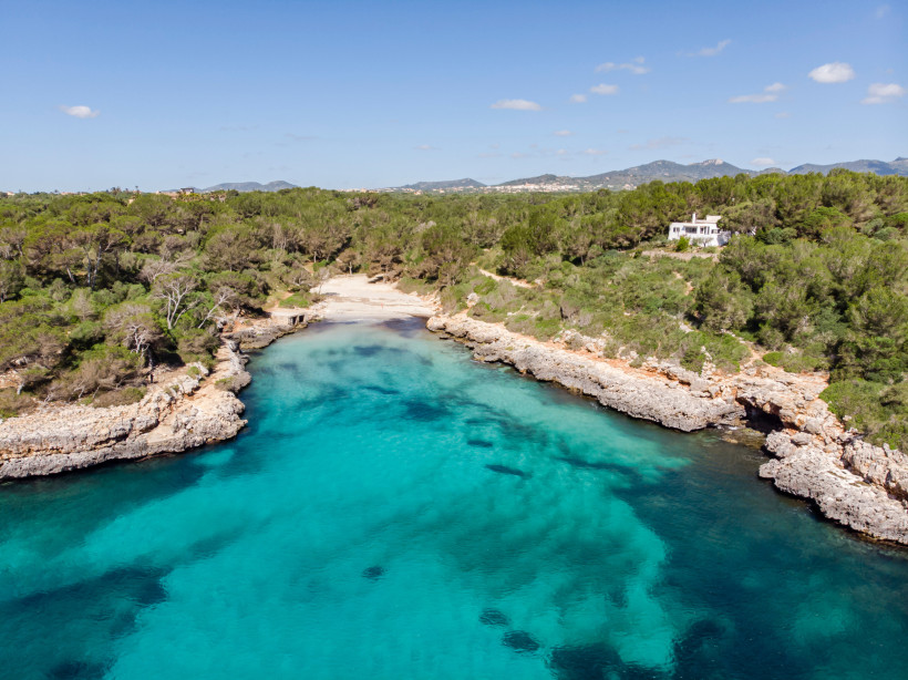 Luftaufnahme der Cala Sa Nau mit türkisfarbenem Wasser, kleiner Sandbucht und felsiger Küste, umgeben von Pinienwald