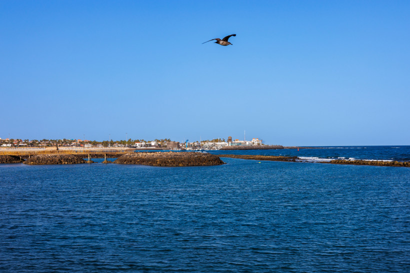 Küstenansicht bei Playa de la Guirra mit Wellenbrechern, Meer und fliegendem Vogel