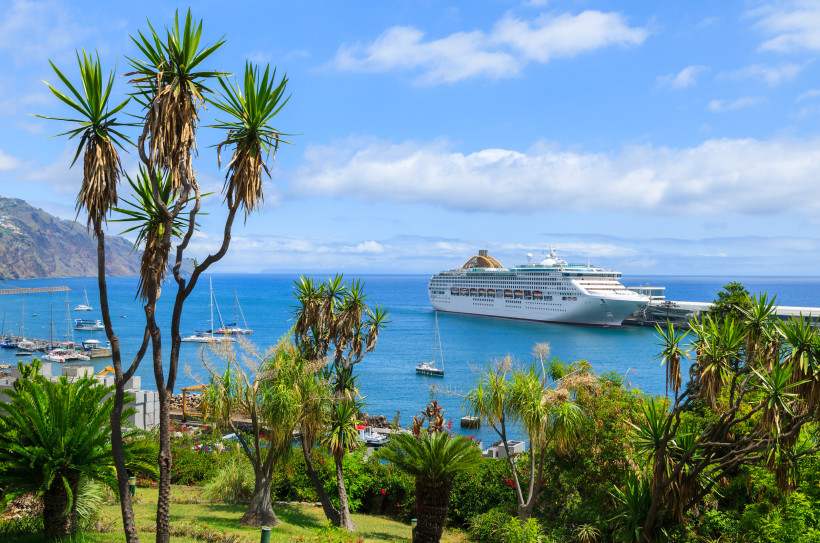 Funchal: Kreuzfahrtschiff im Hafen von Madeira Kreuzfahrtschiff im Hafen von Funchal auf Madeira, Blick über Palmen und Bucht