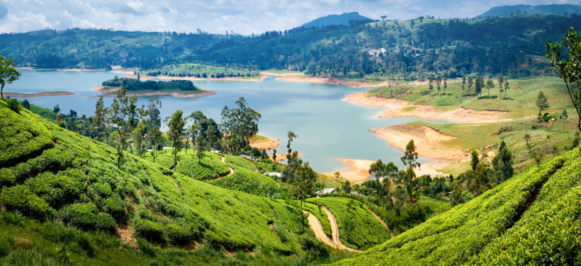 Nuwara Eliya, Sri Lanka Panoramablick auf grüne Teeplantagen und einen Stausee in den Bergen von Nuwara Eliya