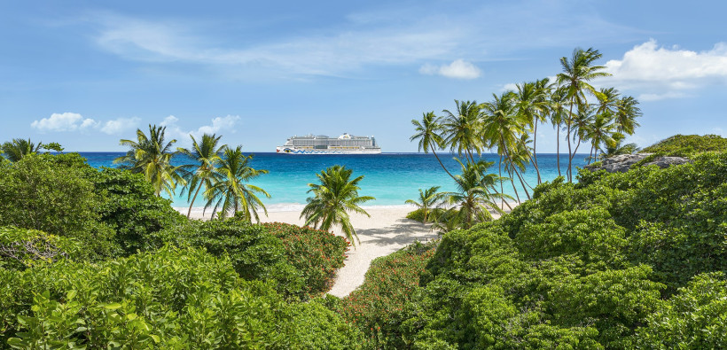 Kreuzfahrtschiff AIDAperla vor einem karibischen Sandstrand mit Palmen