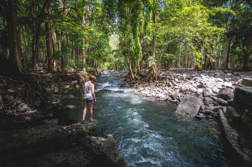 Ein atemberaubender Moment in der Natur: Eine Frau erkundet einen wilden, klaren Fluss, umgeben von dichtem tropischen Wald und beeindruckenden Baumwurzeln – pure Abenteuerlust und Naturverbundenheit!
