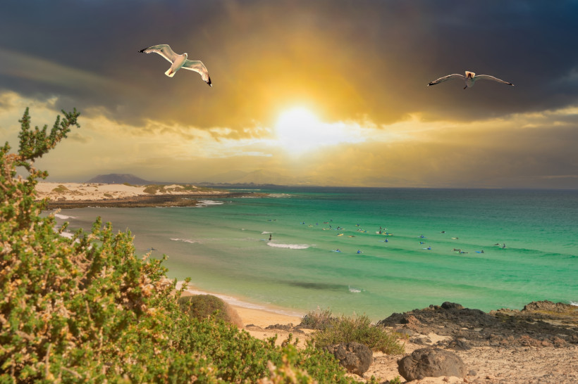 Lanzarote Blick über eine grüne Küstenlandschaft bei Sonnenuntergang. Im Wasser warten zahlreiche Surfer auf Wellen, darüber fliegen zwei Möwen am dramatisch gefärbten Himmel.