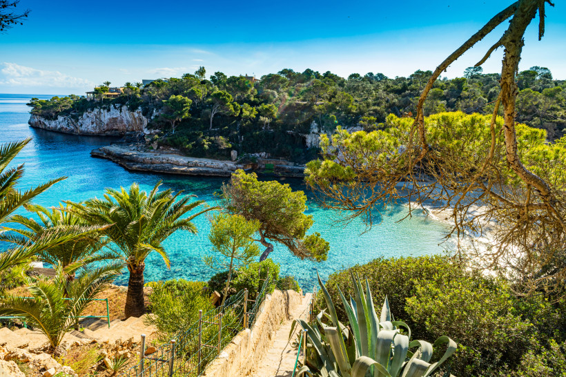 Mallorca - Cala Llombards Eine malerische Bucht auf Mallorca mit türkisblauem Wasser, die von steilen Klippen und Pinien gesäumt wird. Im Vordergrund führen steinerne Treppenstufen gesäumt von Palmen und Agaven hinunter zum Wasser. Die Bucht liegt ruhig unter strahlend blauem Himm