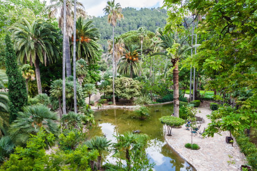 Jardines de Alfabia, Mallorca Üppiger botanischer Garten auf Mallorca mit Palmen, Teich und schattigen Wegen