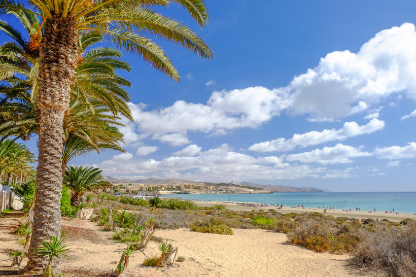 Küstenlandschaft in Costa Calma auf Fuerteventura mit Palmen, Sanddünen, Strand und Meer unter blauem Himmel