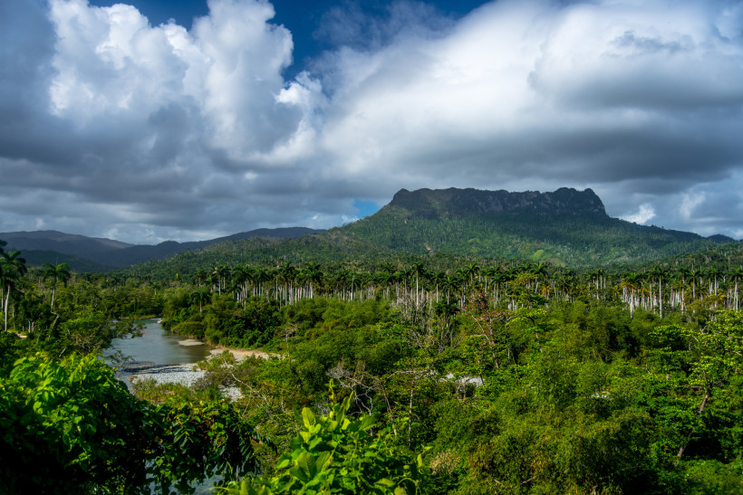 Blick auf die dichten Regenwälder und den markanten Berg El Yunque im Humboldt-Nationalpark bei Baracoa auf Kuba, umgeben von Flusslandschaften und üppiger Vegetation.