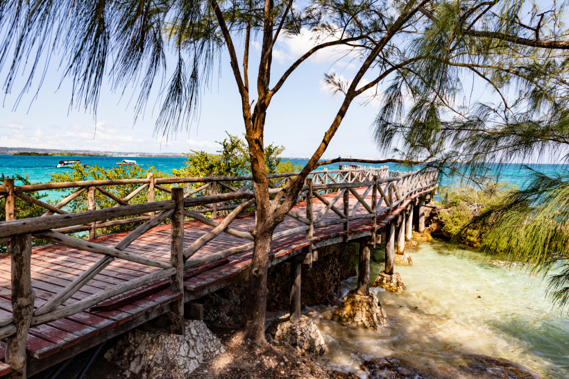 Sansibar - Prison Island (Changuu) Holzsteg mit Geländer an der Küste von Sansibar über türkisfarbenem Meer, umrahmt von tropischen Bäumen.