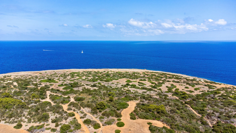 Küstenlandschaft an der Punta de n’Amer mit Buschvegetation und Blick auf das Meer